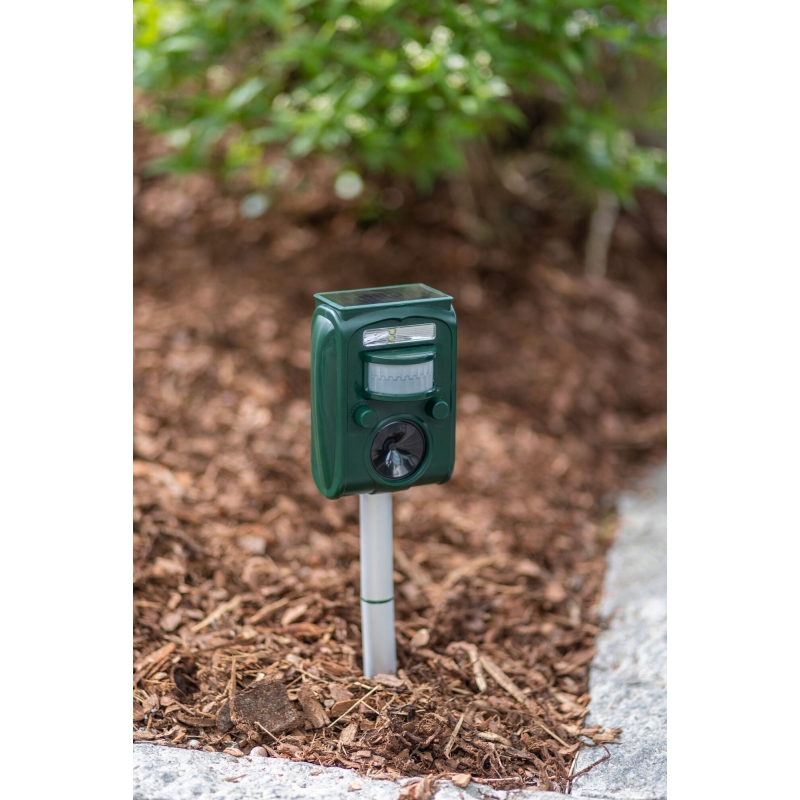 Sonicflash Agrodieren  - 299906