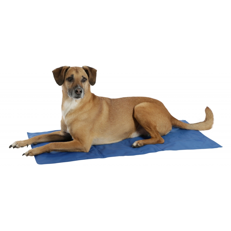 Koelmat Cool-Relax, 50x40cm - 80841