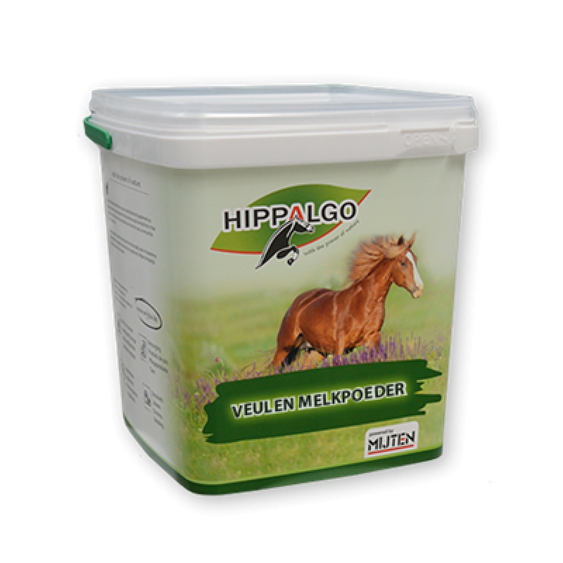 foto nl - HA01703-MIJ
