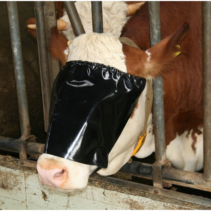 Vee-oogklep met elastiek - 1146