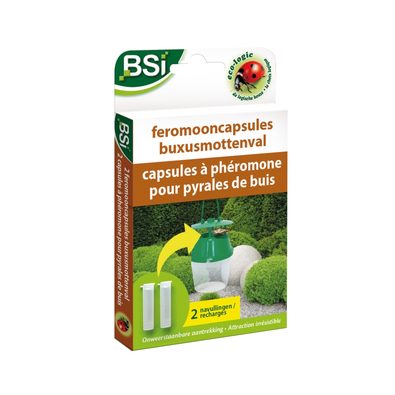 foto fr - 55630-SAN