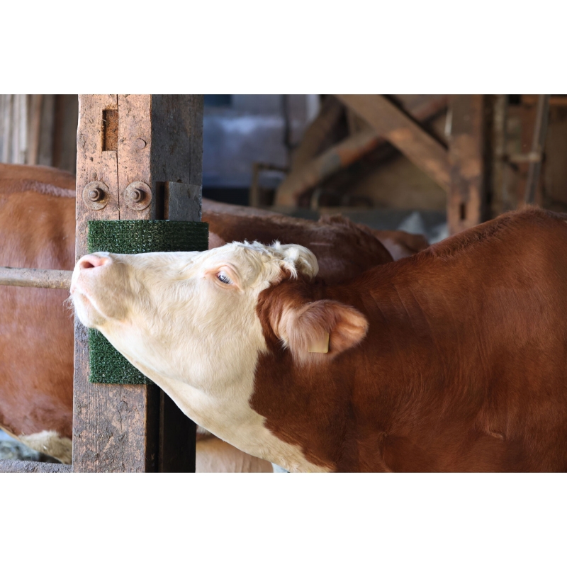 art 3282838 agrodieren.be - 3282838