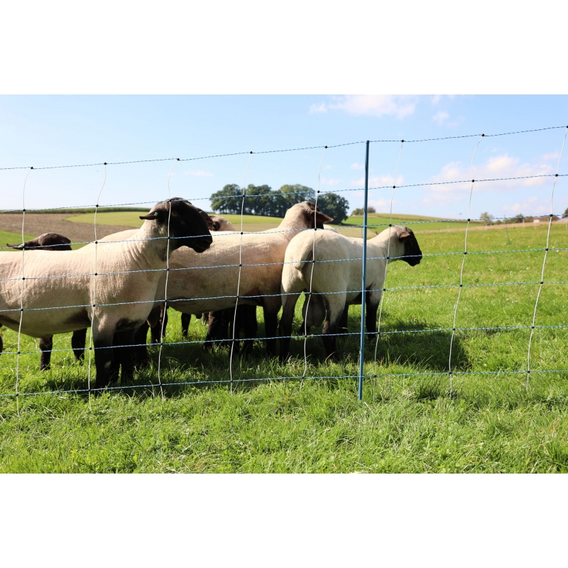art 27833 agrodieren.be - 27833