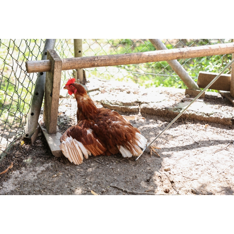 art 73153 agrodieren.be - 73153