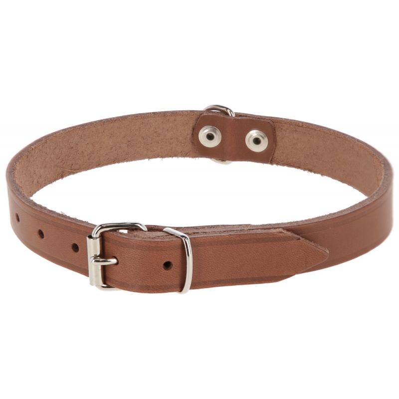 art 80010 agrodieren.be - 80010
