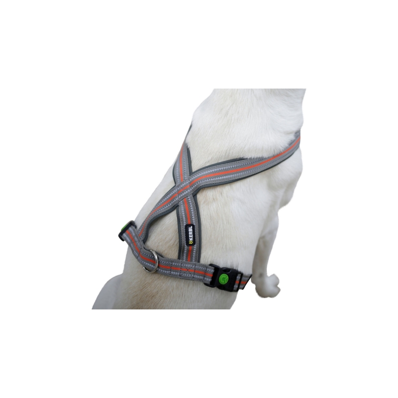 Xenos Agrodieren - 80679