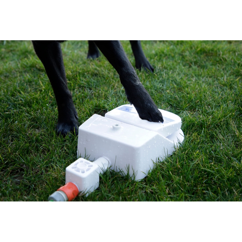 art 80542 agrodieren.be - 80542