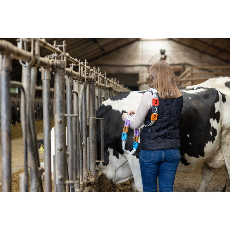 Merkband 90 cm lang wit/zwart, rolgesp - 20887