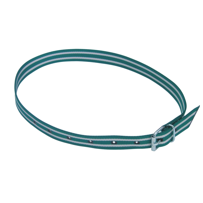Collier de marquage vertblanc  120cm avec boucle - 20898