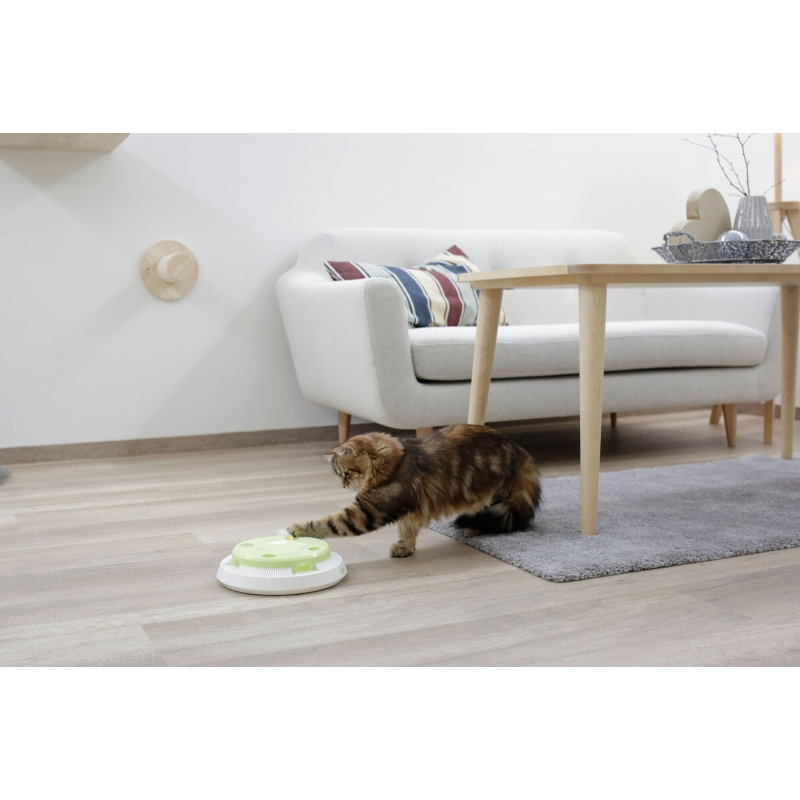 art 81679 agrodieren.be - 81679