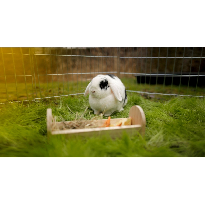 art 81807 agrodieren.be - 81807
