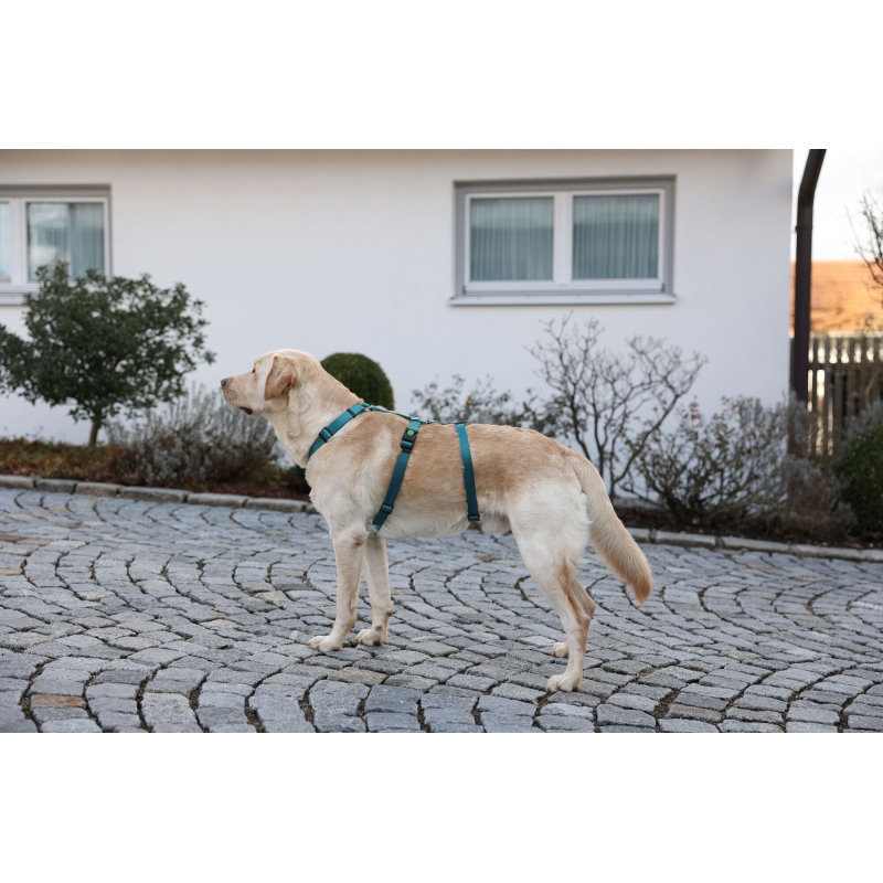 Collier pour chien  Miami Plus rouge, 30mm 45-53 cm - 80045