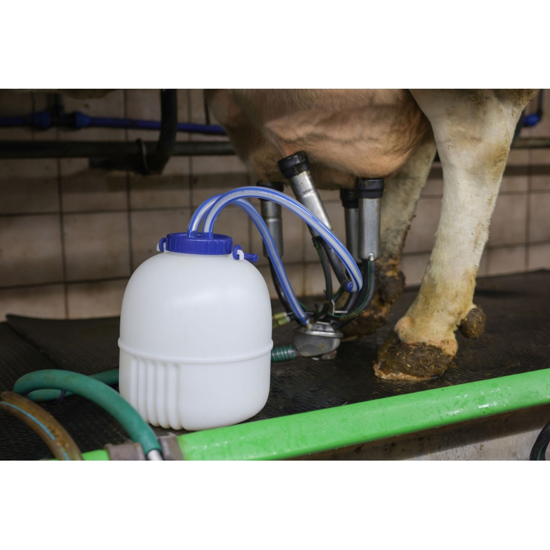 art 15903 agrodieren.be  - 15903