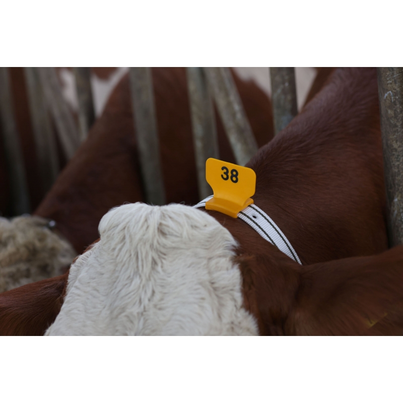 art 208430 agrodieren.be
 - 208430