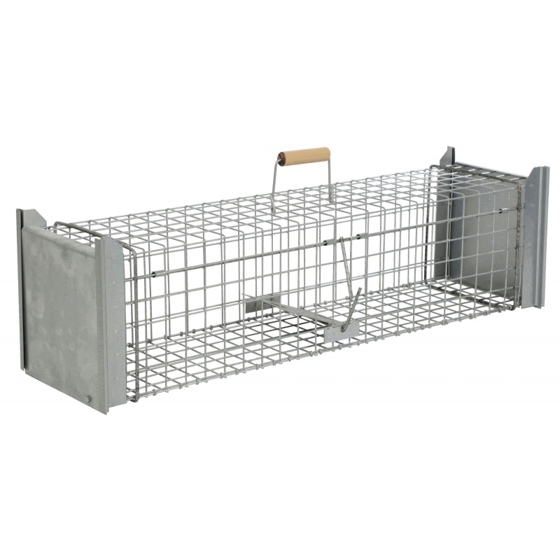 foto fr - 299469