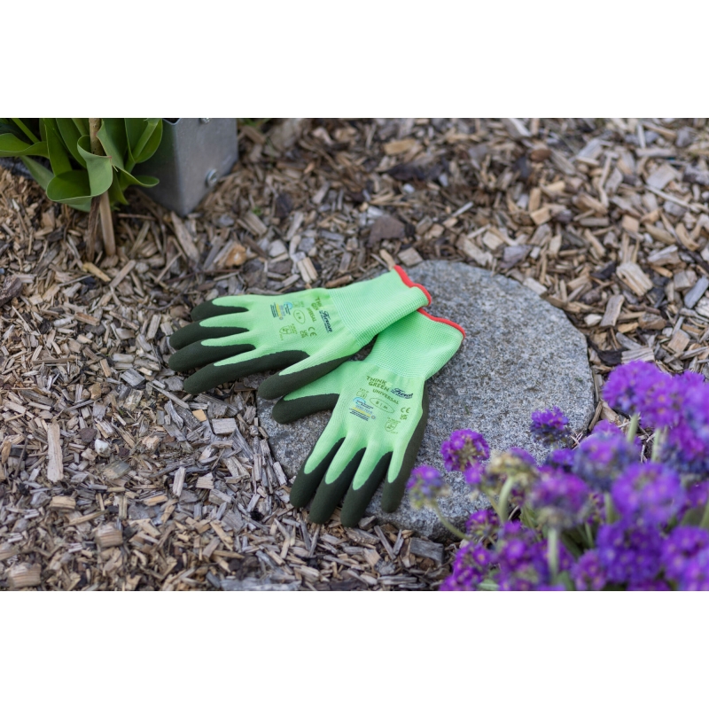 art 298018 agrodieren.be  - 298018