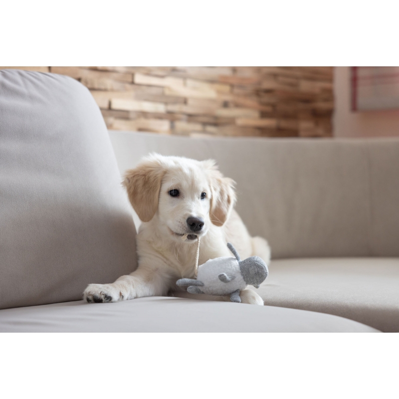Puppyspeelgoed - 80491
