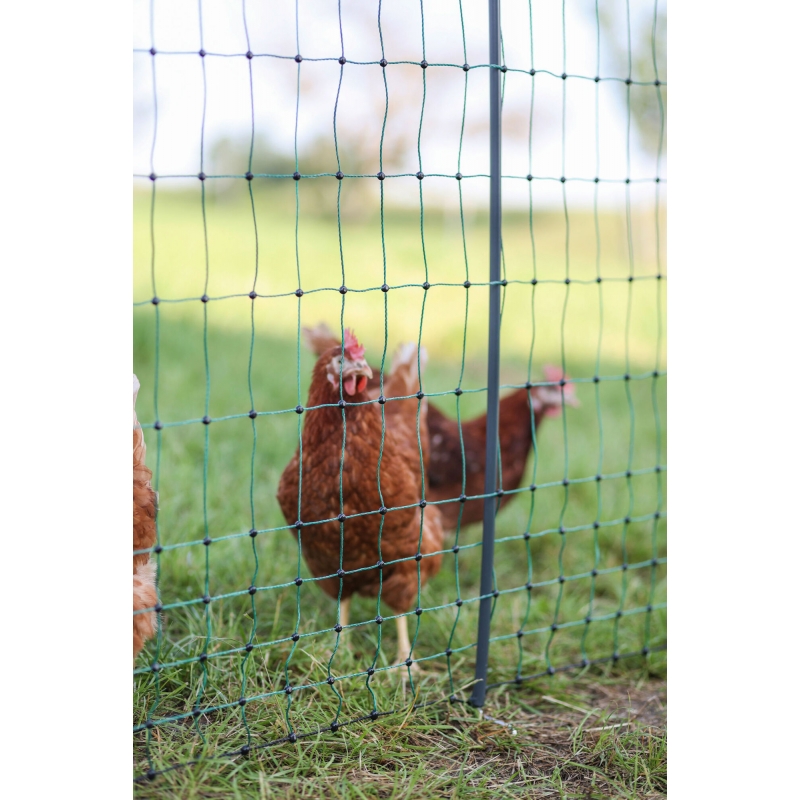art 292410 agrodieren.be - 292411