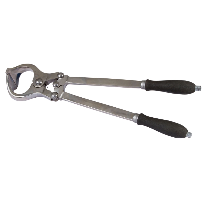 Castreert.v.stier,paard,47cm - 22106