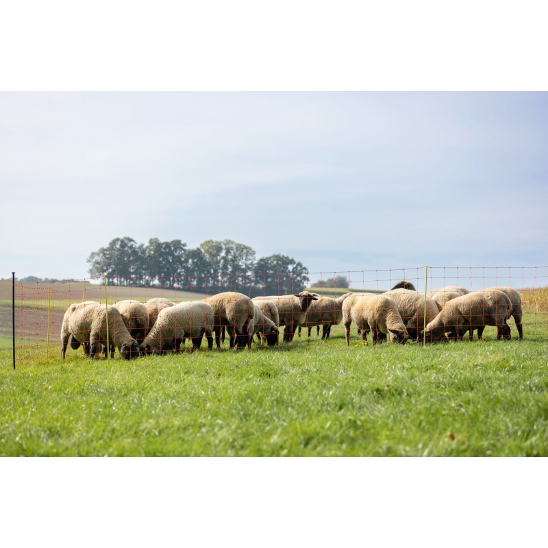 27903 - Filet moutons, 50&nbsp;m, orange haut.&nbsp;: 108&nbsp;cm, double pointe - KERBL - Agrodieren.be - 27903
