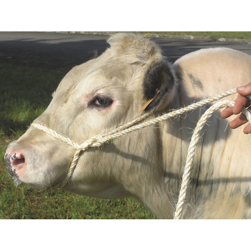 29545 - Longe 3m sisal/PP, blanc et vert, &Oslash;13mm - KERBL - Agrodieren.be - 29545