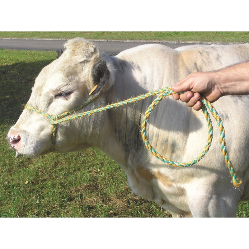29546 - Longe 4m sisal/PP, blanc/rouge, &Oslash;16mm - KERBL - Agrodieren.be - 29546