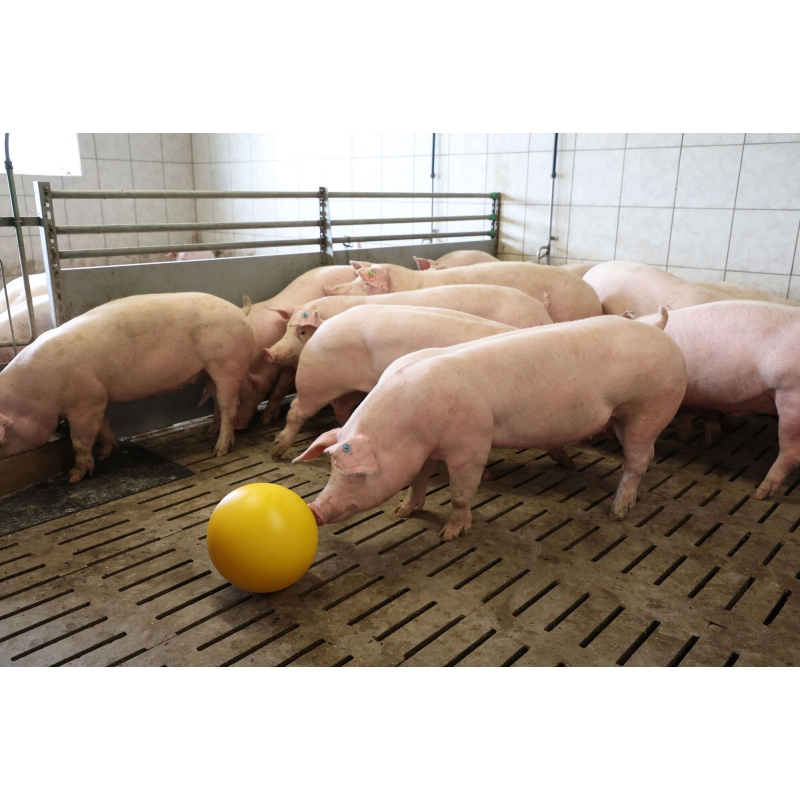 "Anti-Stress-bal" v. biggen d =30 cm, - niet verpakt - - 22121