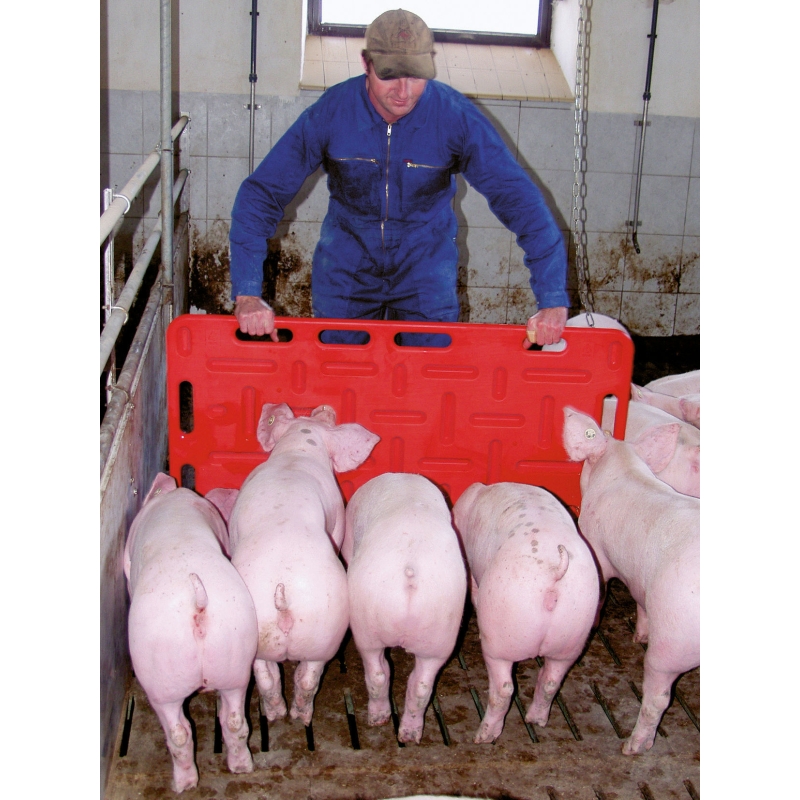 Plaque &agrave; porc rouge 126 x 76 cm - 22123