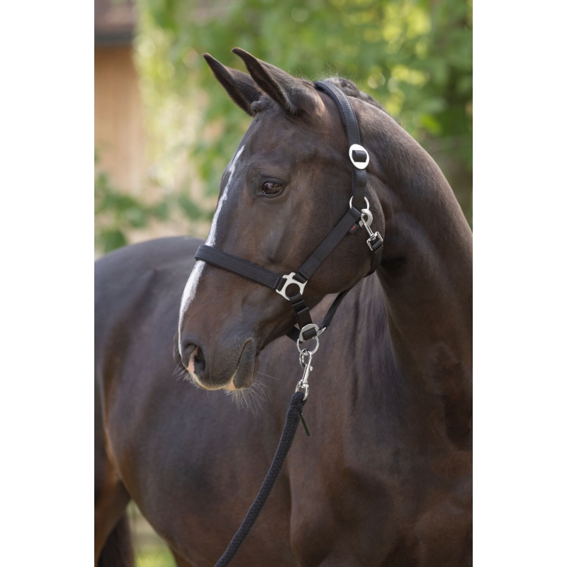 3228197 - Licol Doria, black, p. cheval  - KERBL - Agrodieren.be - 3228197