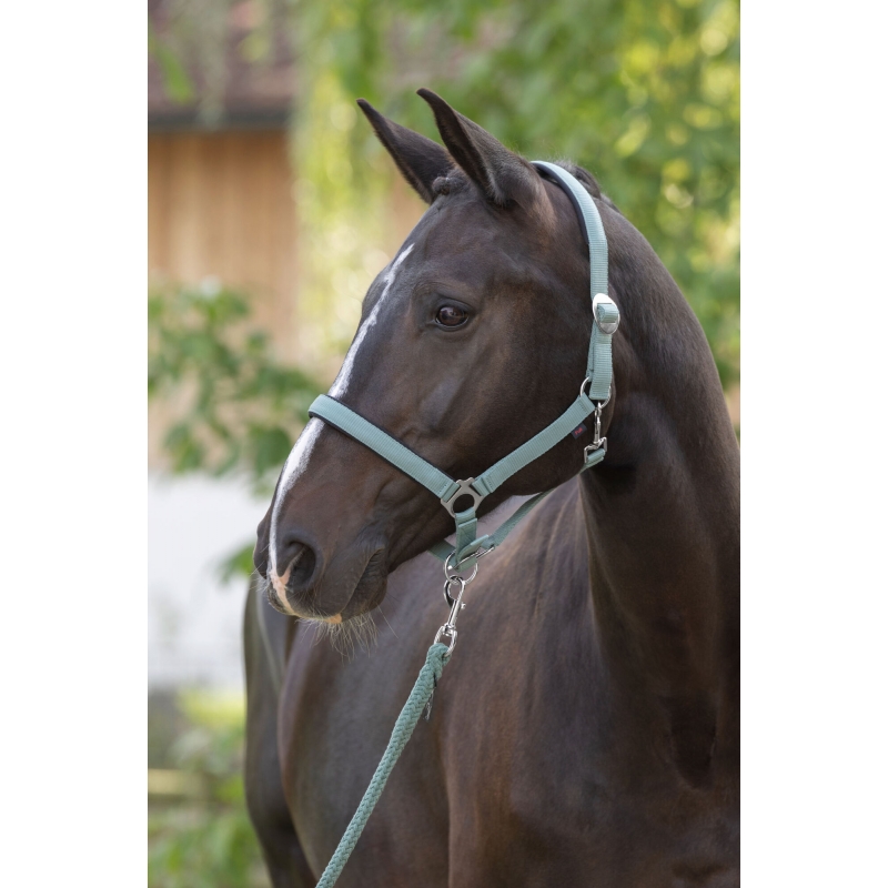 3228203 - Halster Doria, jade green Shetty - KERBL - Agrodieren.be - 3228203