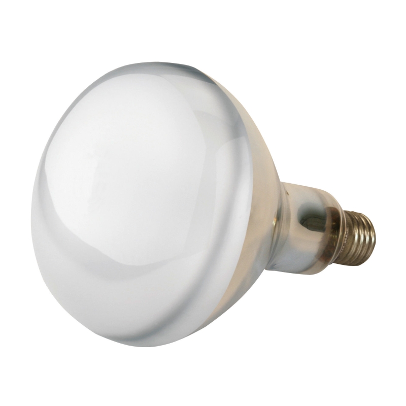 IR-lamp 150W gehard glas, helder - 22243