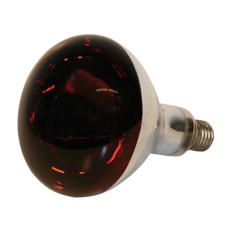Lampe Kerbl IR 250W rouge, verre de s&eacute;curit&eacute; - 22245