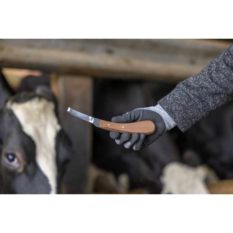 GTA310 - R&eacute;nette coupe &agrave; droite 80 mm x 11 mm - KERBL - Agrodieren.be - GTA310