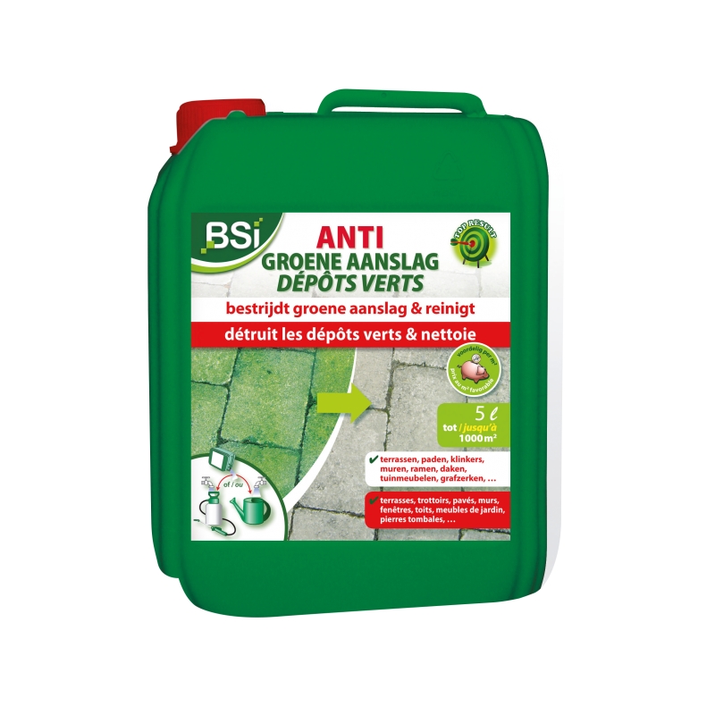 foto fr - 3776-BSI