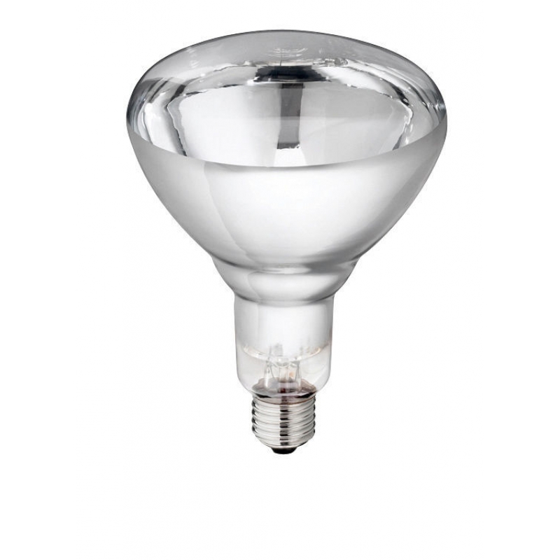 Lamp van gehard glas "Philips" 240V, helder - 22315
