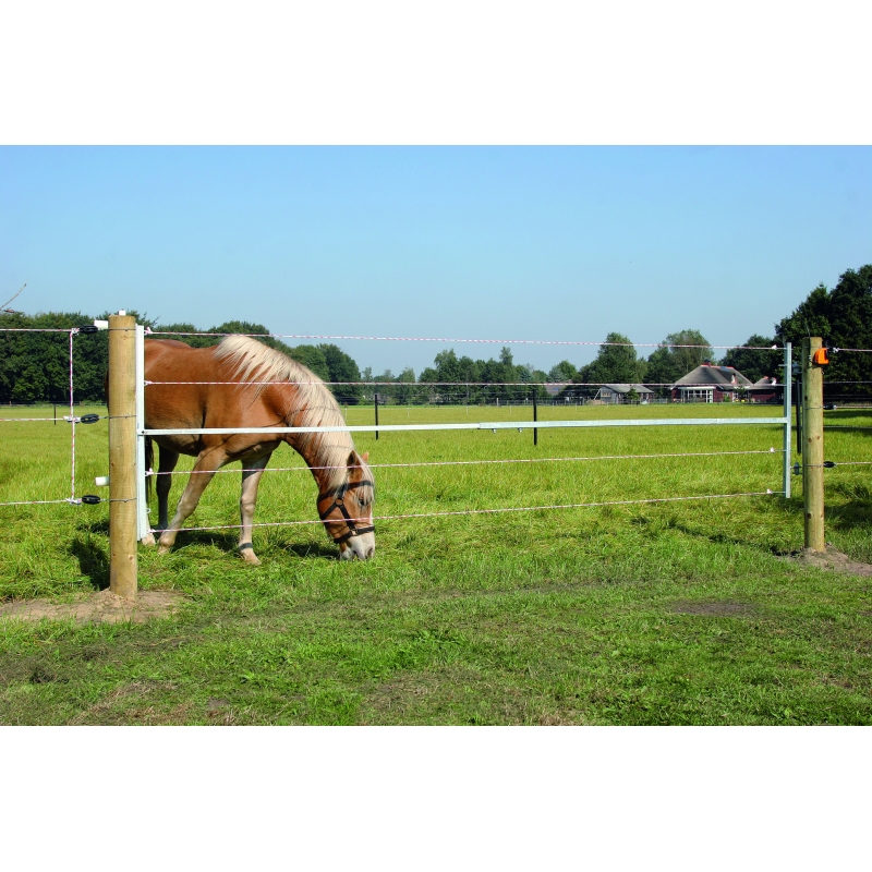foto nl - 001064-GALL