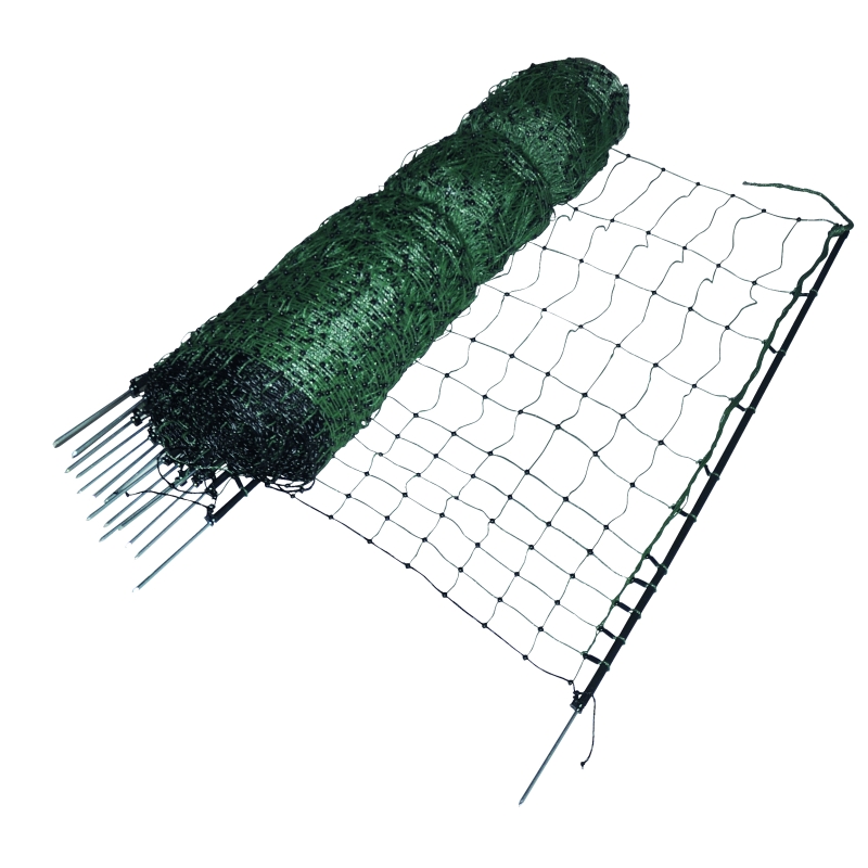 foto fr - 075867-GALL