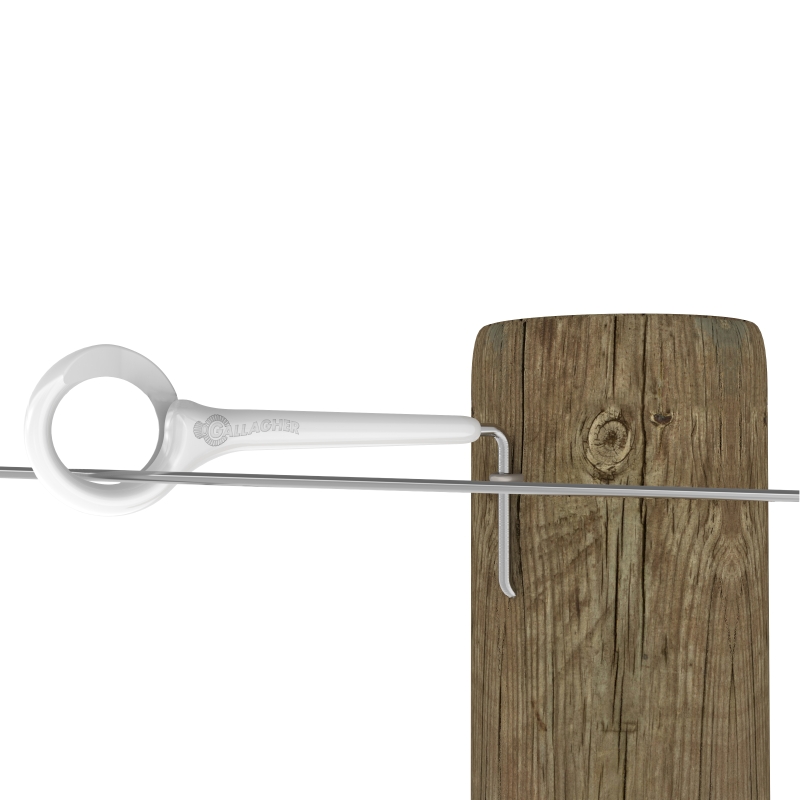 foto fr - 751122-GALL