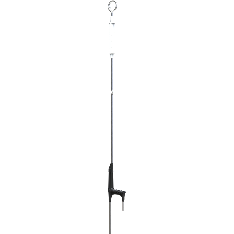 foto fr - 764139-GALL
