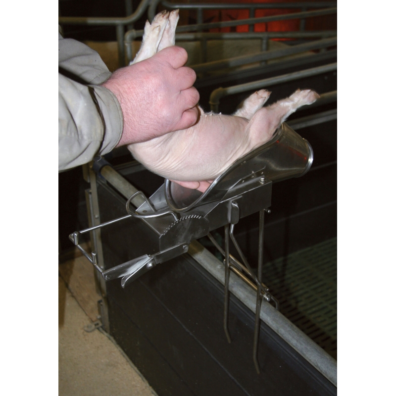 Appareil &agrave; castrer porcelet 2-9 jours, inox, sans support - 22818