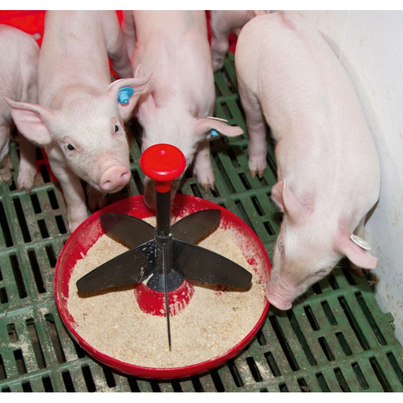 Biggenkom Mini-Piglet - 22888