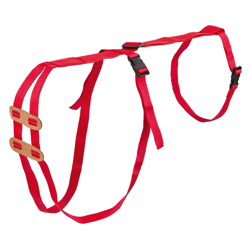 Bandage de prolapsus pour mouton - 10303