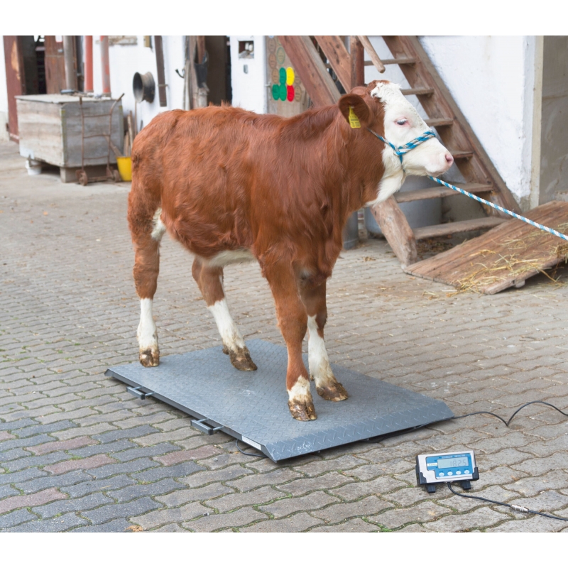 Balance pour animaux PS 2000 - 291311