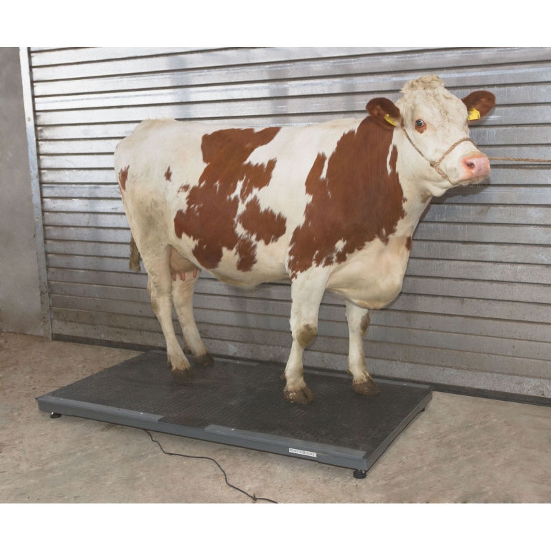 Balance pour animaux PS 3000 - 291312