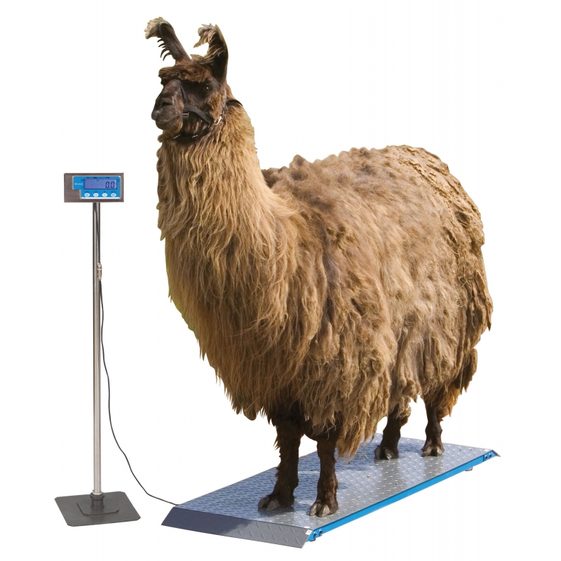 Standaard voor display PS1000/PS2000/PS3000 - 291314