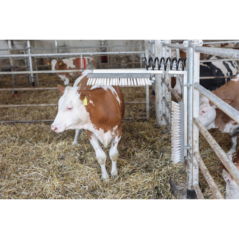 Brosse &agrave; vache Texas - 29310