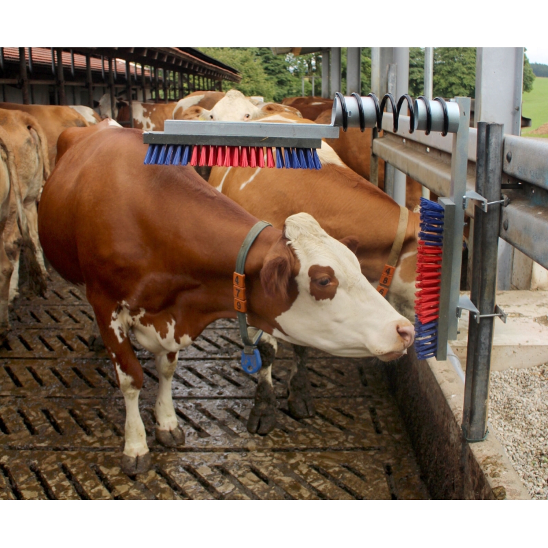 art 29325 agrodieren.be - 29325