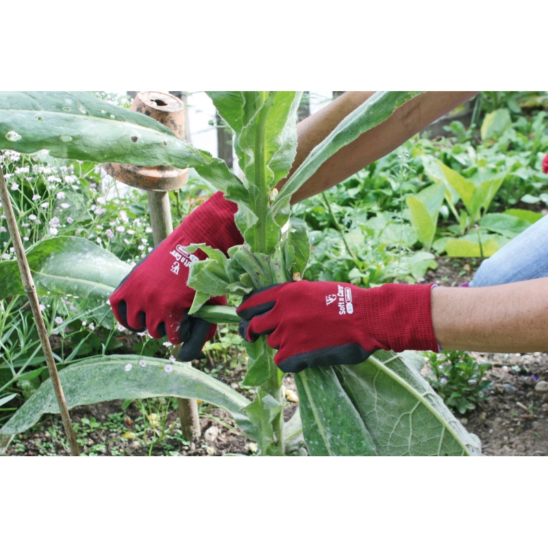 Soft N Care Landscape maat 8 nitrillaag, rood - 297287