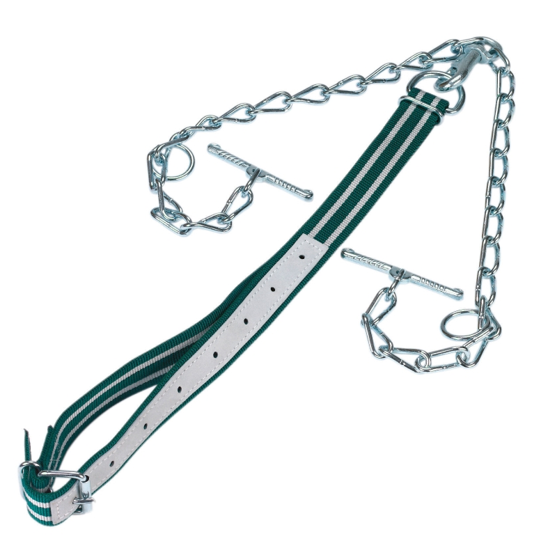 Runderaanl.compl.m.ketting 6mm dubb., met karabijnhaak - 12412