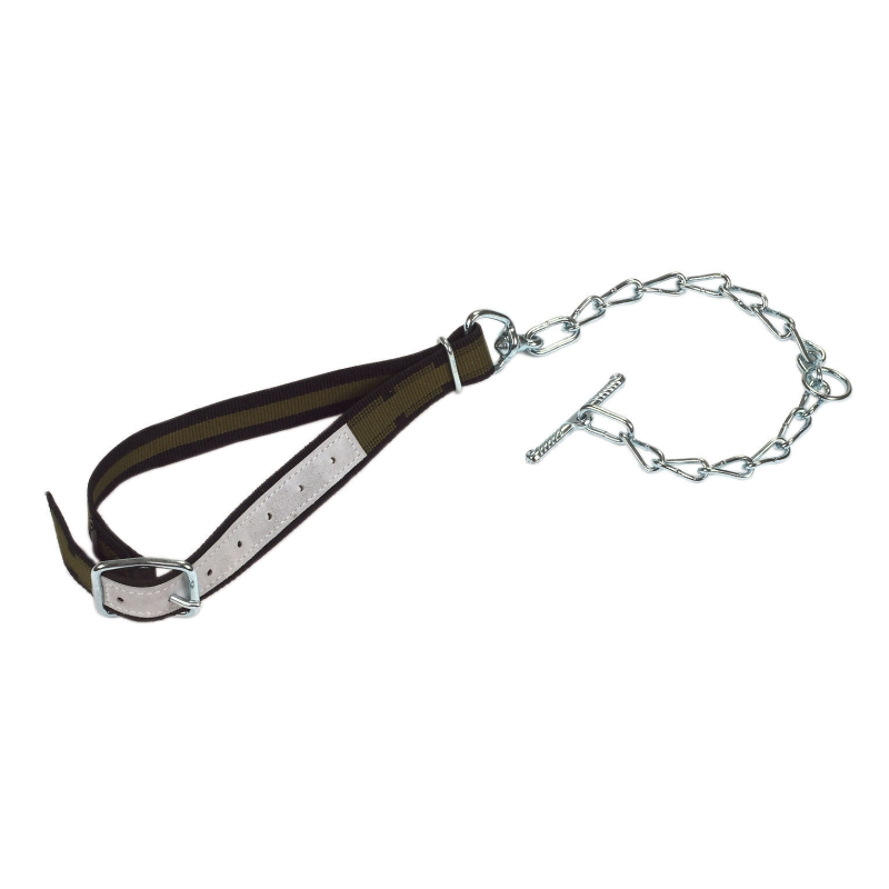 Attache avec collier 85x4cm et cha&icirc;ne virole anneau D6mm - 12461